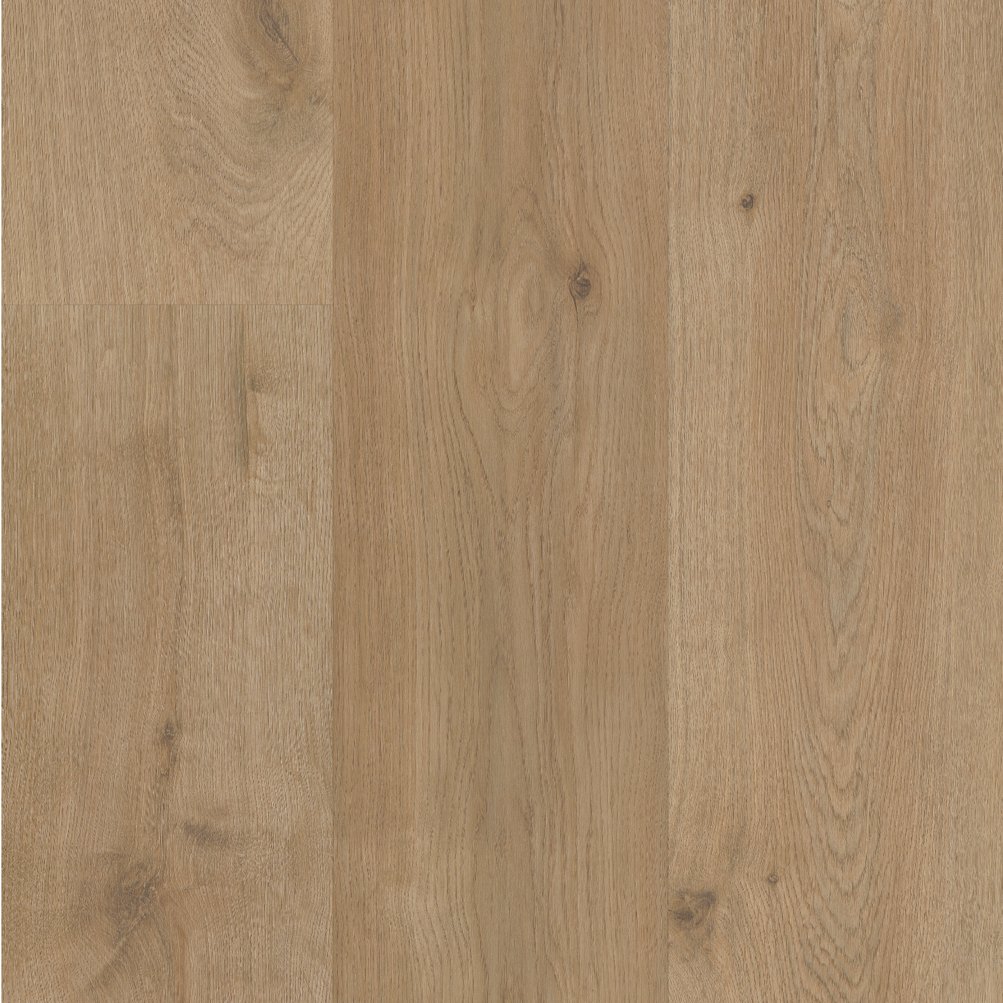 Floor Color 01