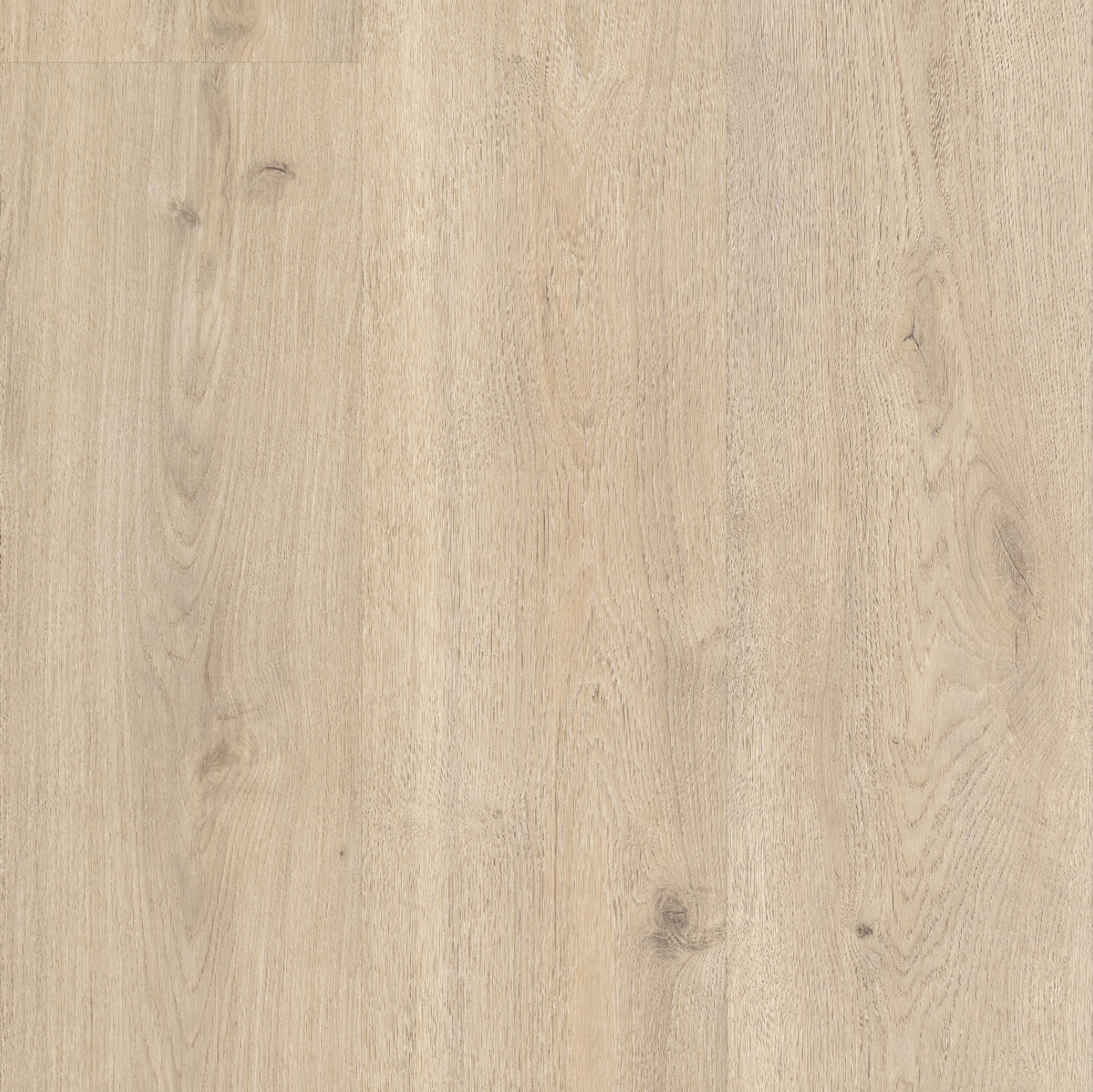 Floor Color 02