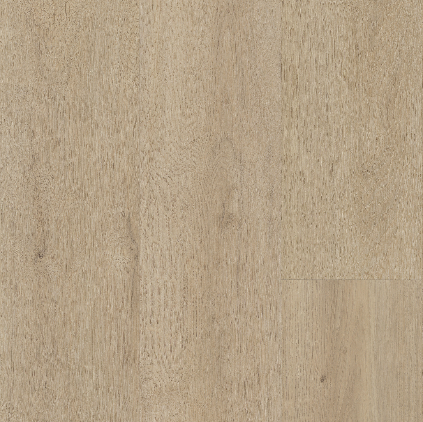 Floor Color 03