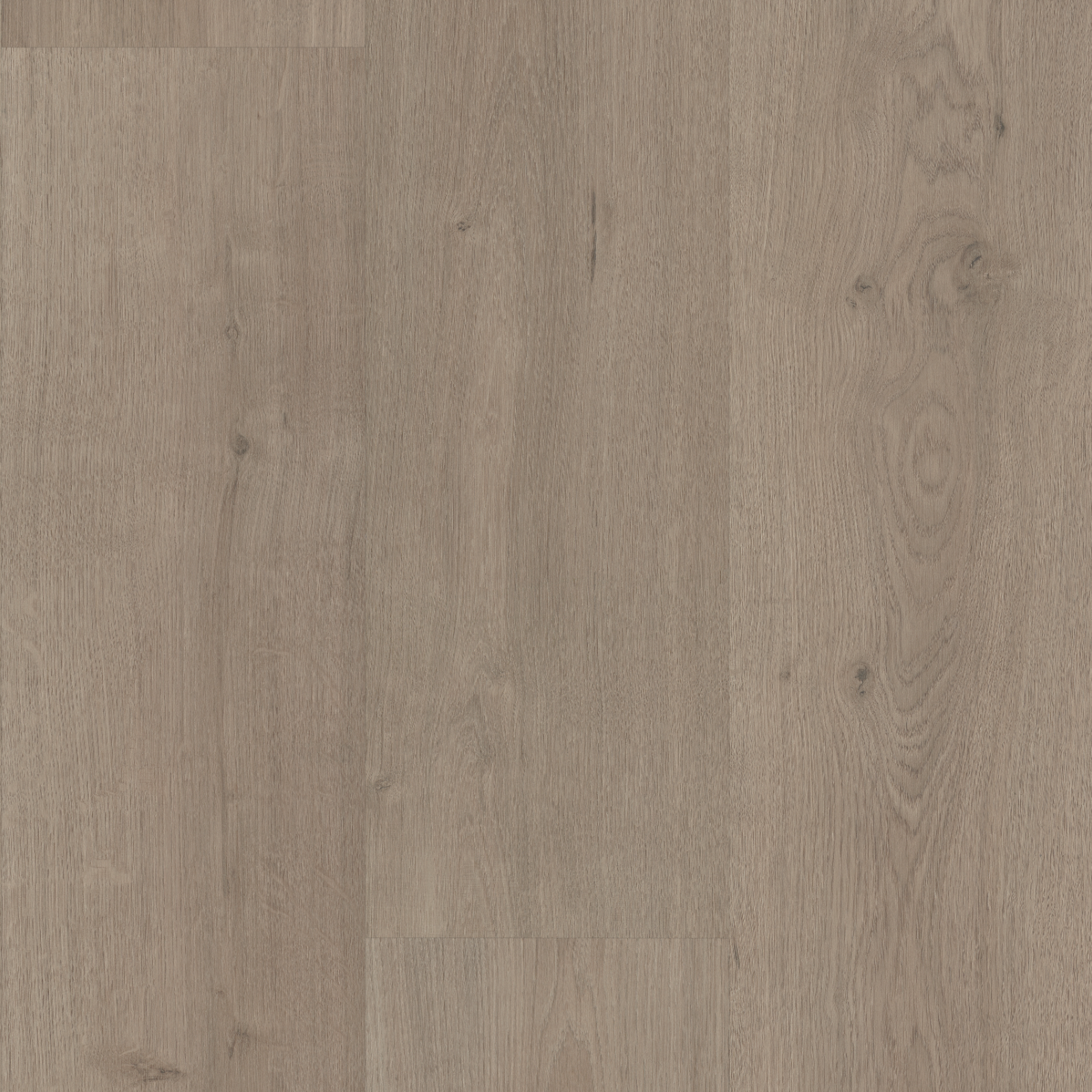 Floor Color 04